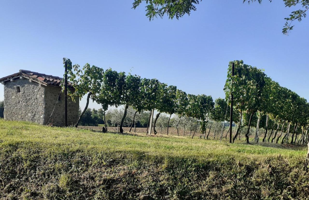 Vicolo Del Nido B&B Paderno Franciacorta Zewnętrze zdjęcie