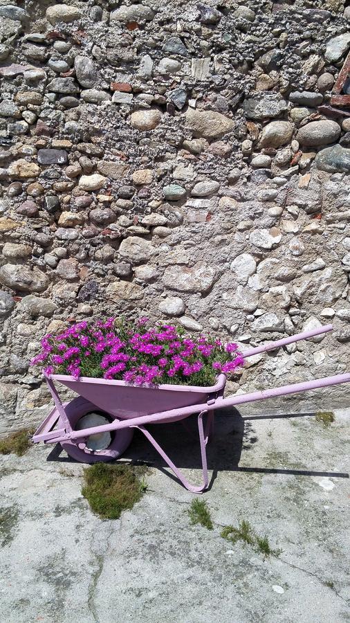Vicolo Del Nido B&B Paderno Franciacorta Zewnętrze zdjęcie